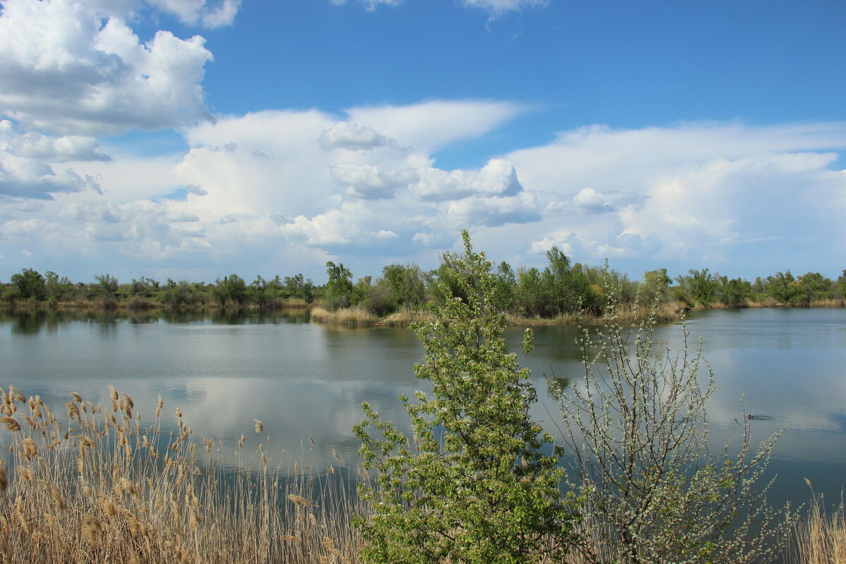 У реки. - Виктор 