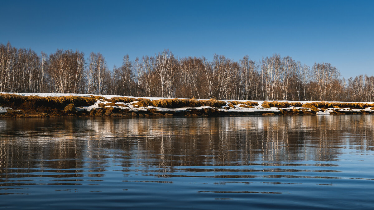 ... - Жора Житников