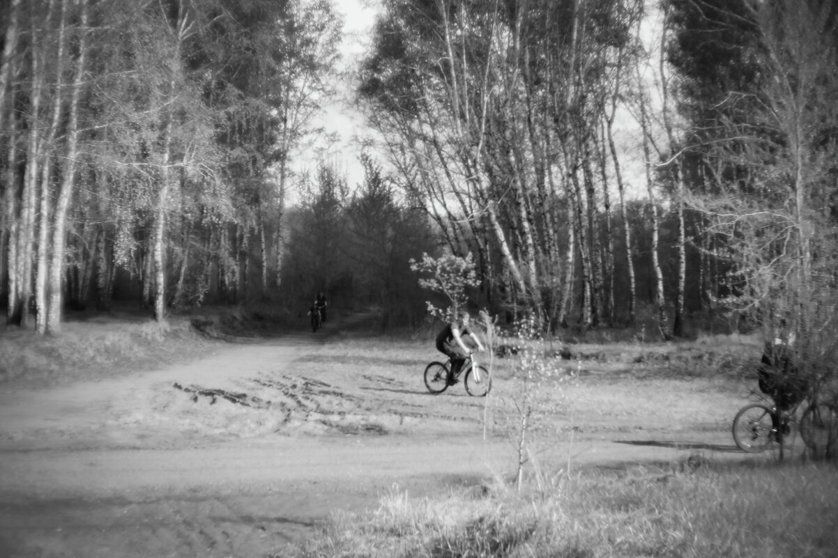 Велопрогулка (чб) - Сергей Царёв Велопрогулка (чб) - Сергей Царёв