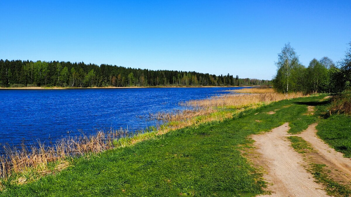 Озёрный берег (репортаж из поездок по области). - Милешкин Владимир Алексеевич Озёрный берег (репортаж из поездок по области). - Милешкин Владимир Алексеевич