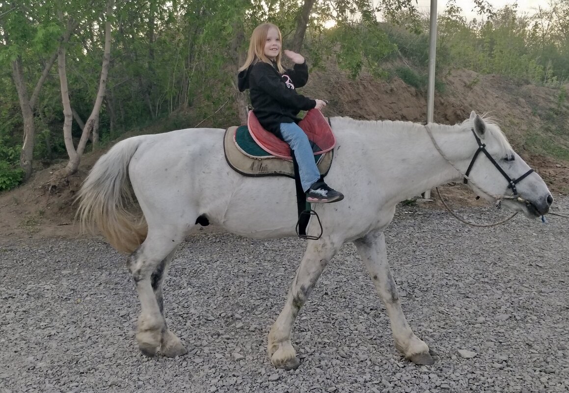 На коне... - Андрей Хлопонин На коне... - Андрей Хлопонин