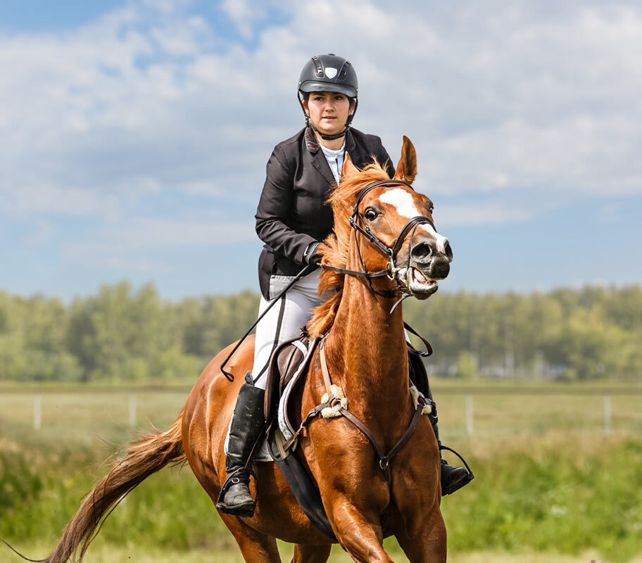 Конкур - SanSan 