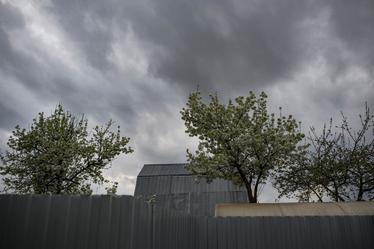 Перед дождём - Петр 