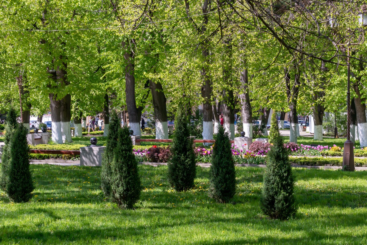 Городской парк - Игорь Сикорский