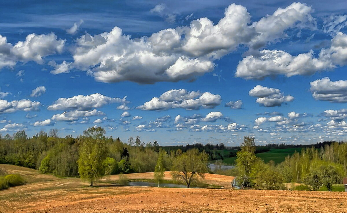 Spring 030525 2m - Arturs Ancans