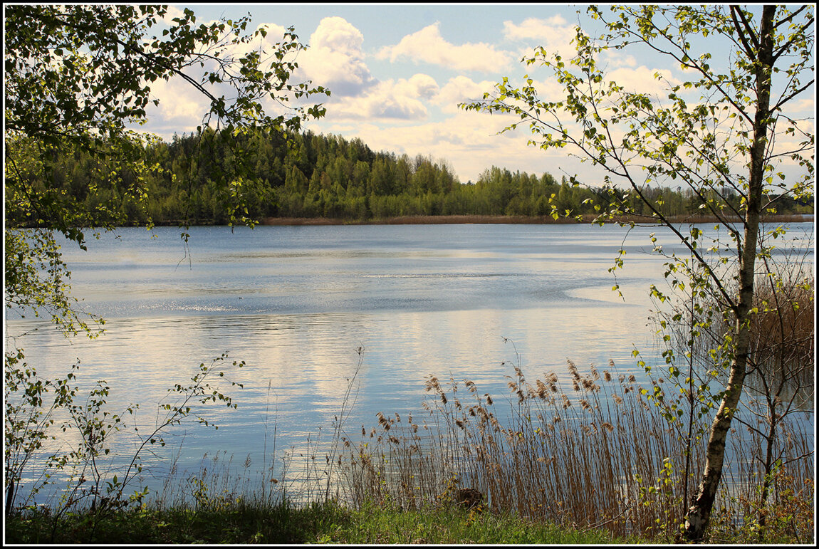 Майский этюд... - Aleksandr Gal