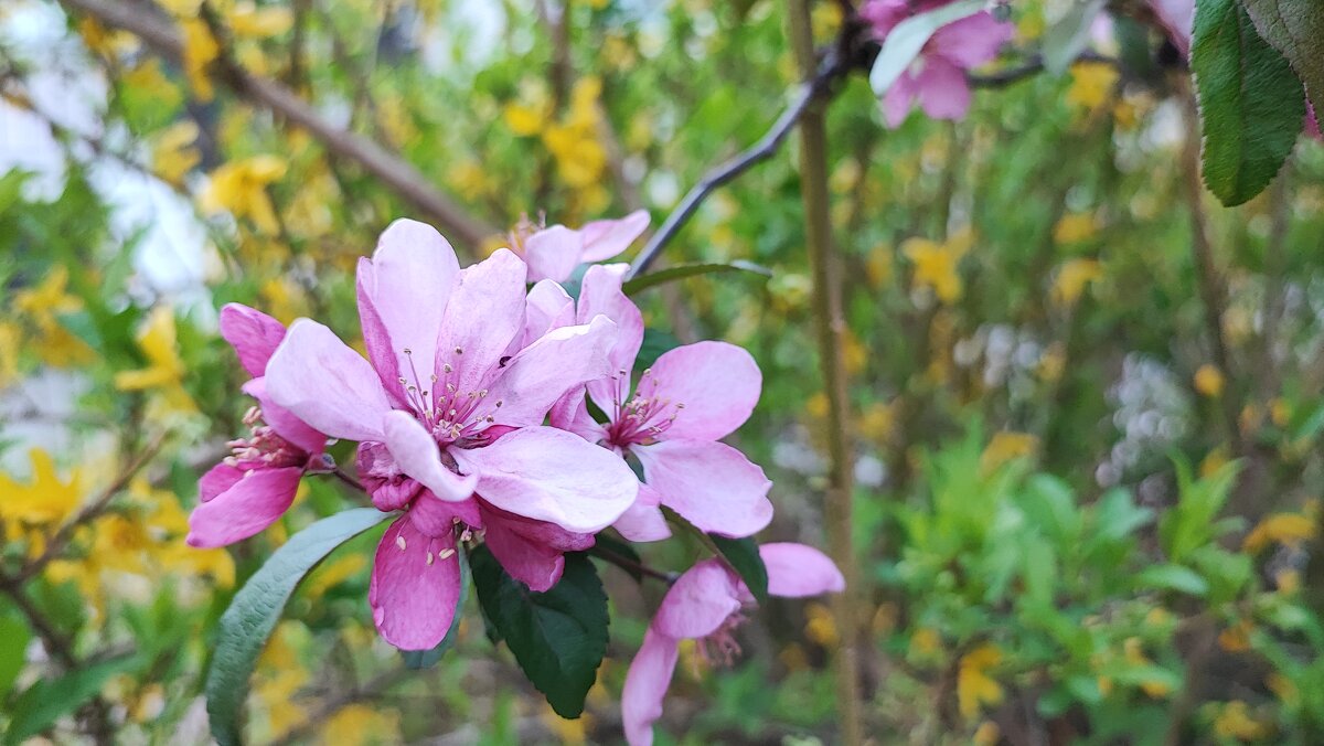 ,,, - Сергей Тимоновский ,,, - Сергей Тимоновский