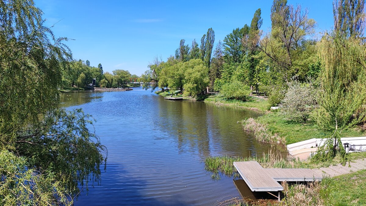 ,,, - Сергей Тимоновский ,,, - Сергей Тимоновский