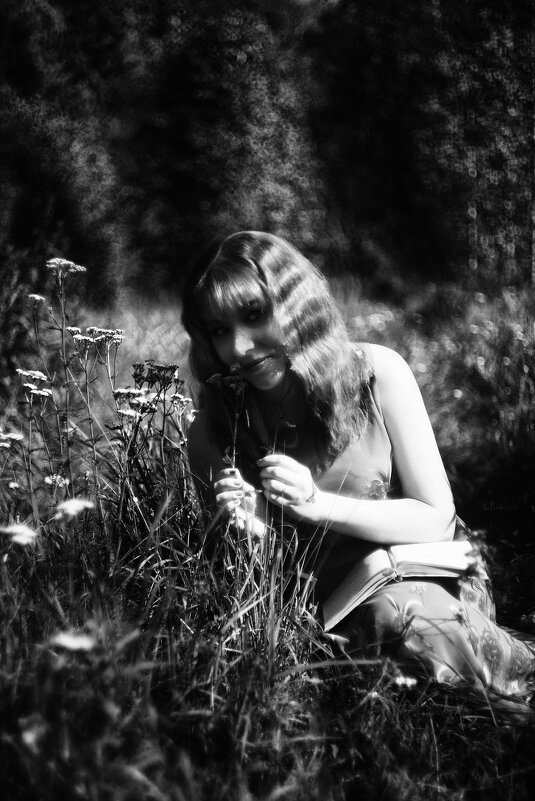 Цветы в поле - Джованни Луче Цветы в поле - Джованни Луче