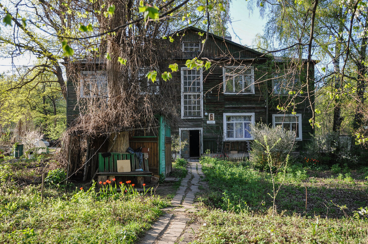 Этот дом невозможно пройти... (дата съёмки 20/04/2025 г. ) - Татьяна Машошина