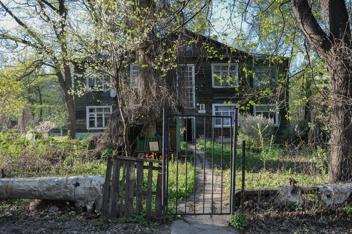 Просто и ясно - Татьяна Машошина Просто и ясно - Татьяна Машошина