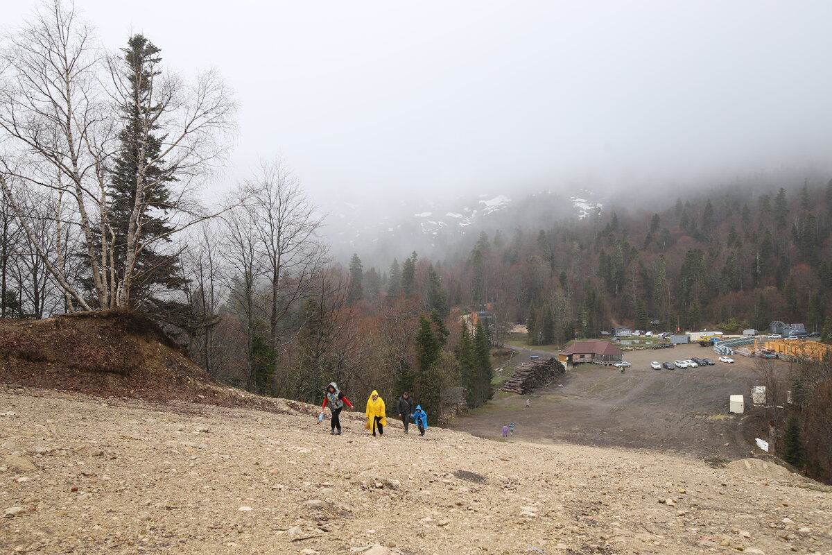 Адыгея, Яворова поляна - Evgeny Mameev Адыгея, Яворова поляна - Evgeny Mameev