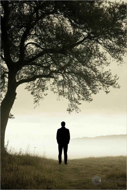 Тишина - Игорь Волков