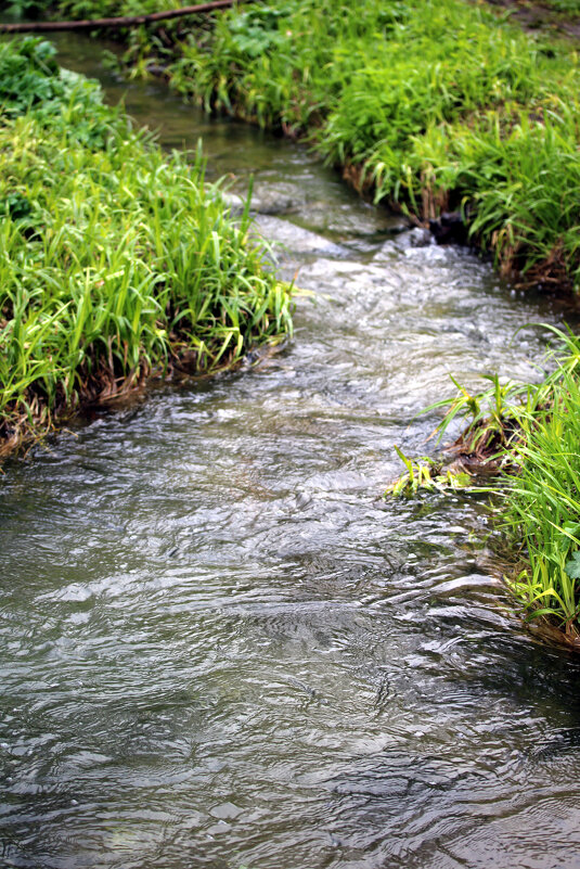 Ручей - Николай (dr.Zlo) Кузнецов Ручей - Николай (dr.Zlo) Кузнецов