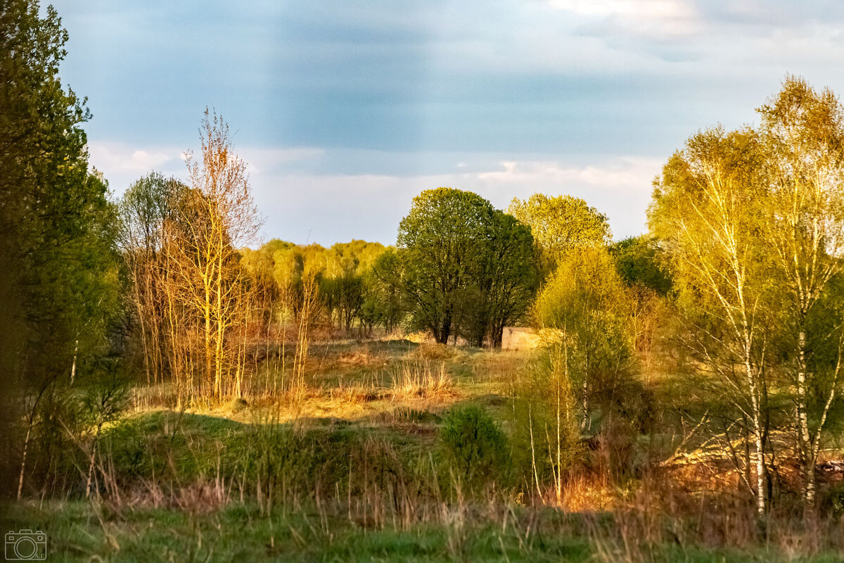 Вечером - Александр 