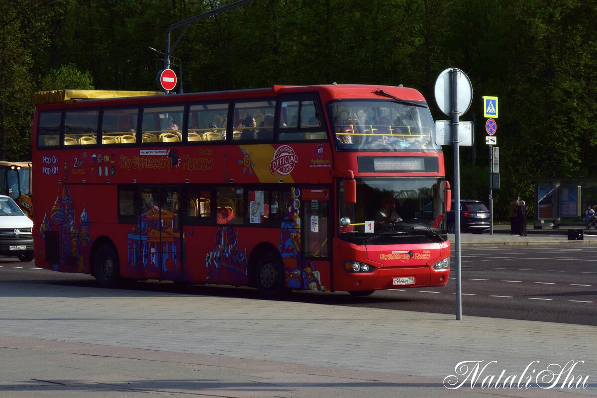 *** - Наталья Вязигина