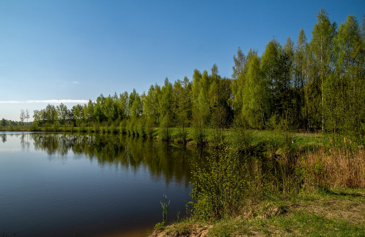 Майское утро VI - Андрей Дворников