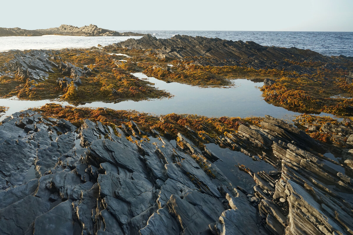 Мыс Немецкий - Анастасия Софронова Мыс Немецкий - Анастасия Софронова