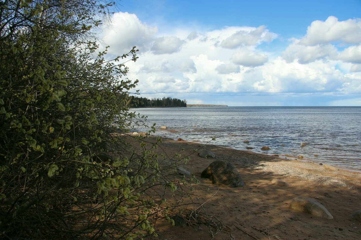 Ладожское Озеро - Наталья Герасимова