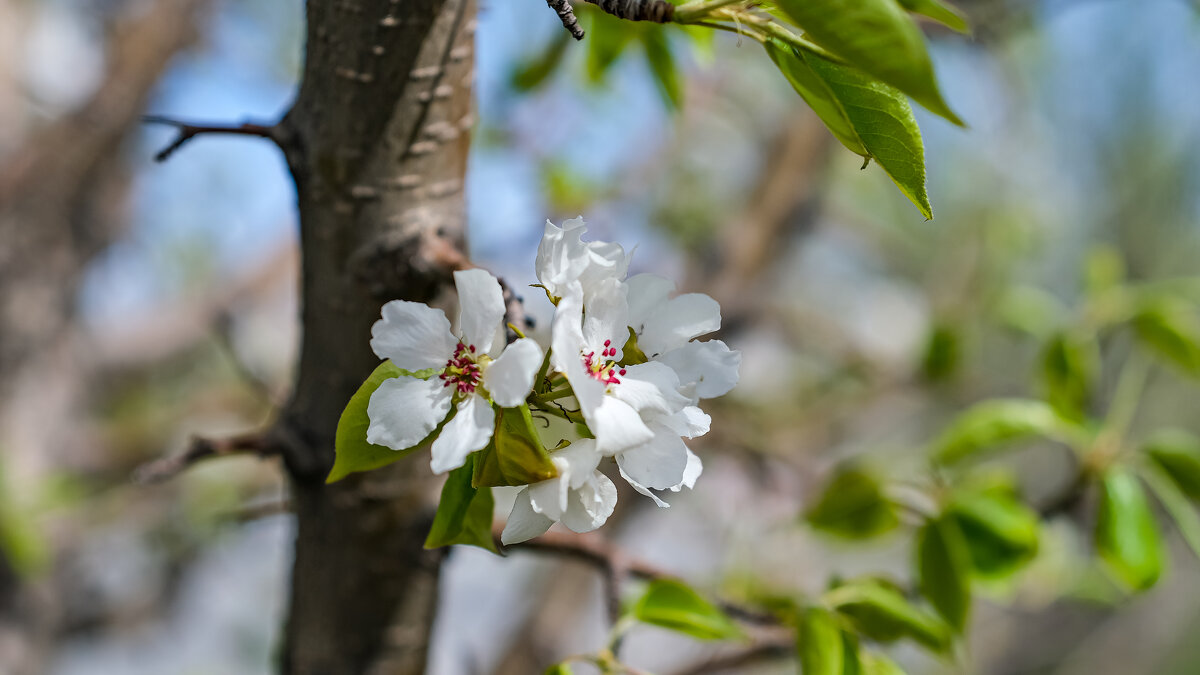 Май - Dmitry i Mary S