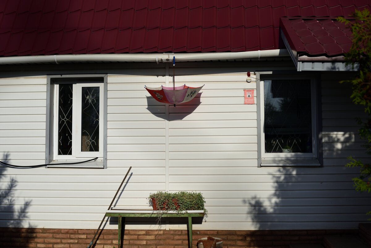 На прогулке - Петр 