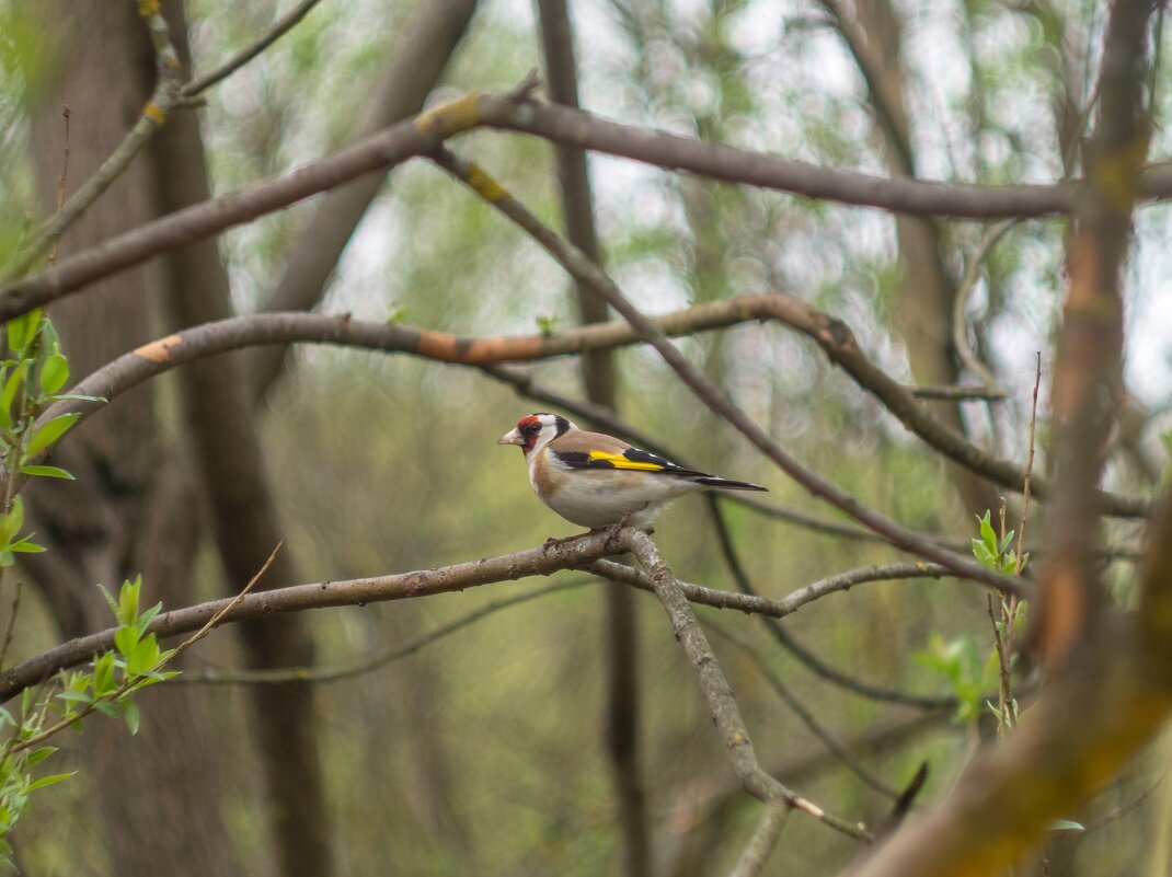 ___ - Yuriy V ___ - Yuriy V