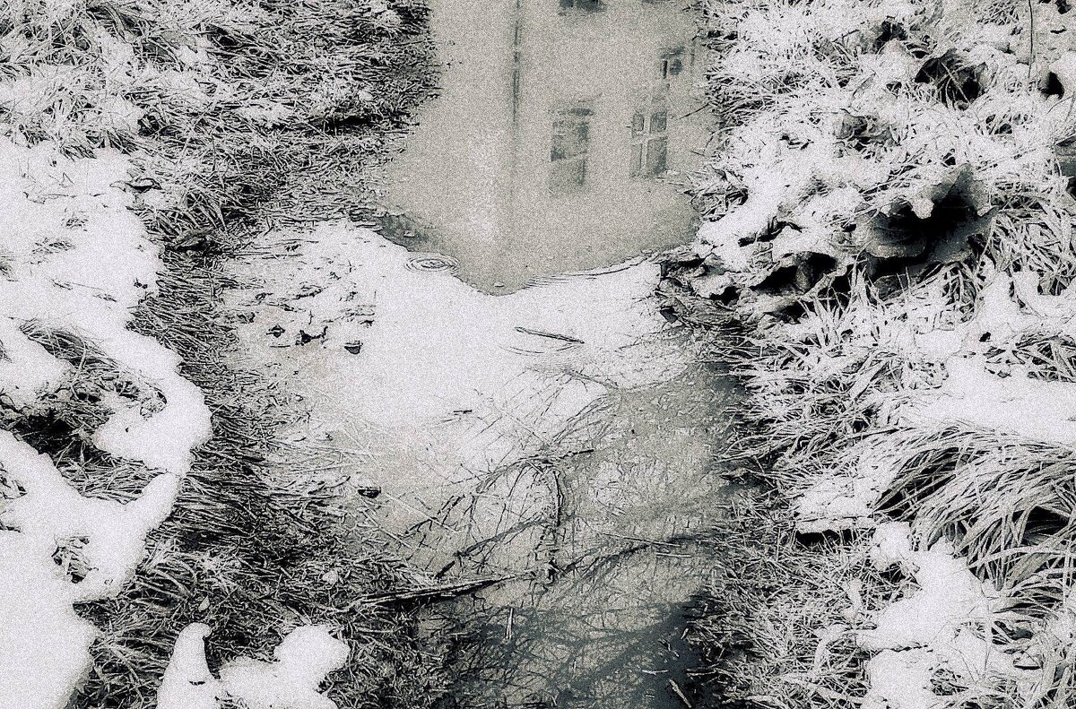 в снежном плену мая - Любовь в снежном плену мая - Любовь