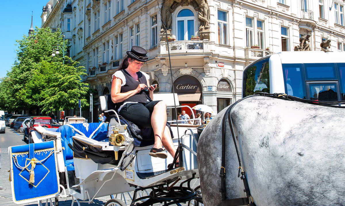 Кучер - Эмиль 