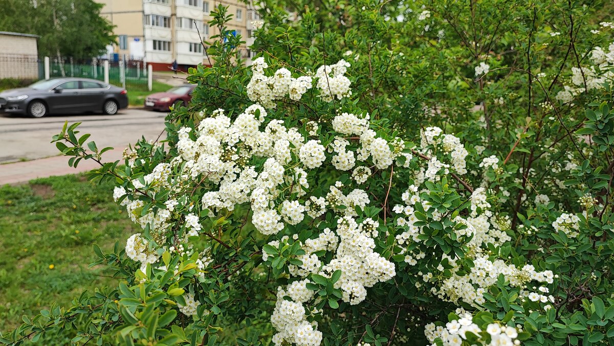 ,,, - Сергей Тимоновский
