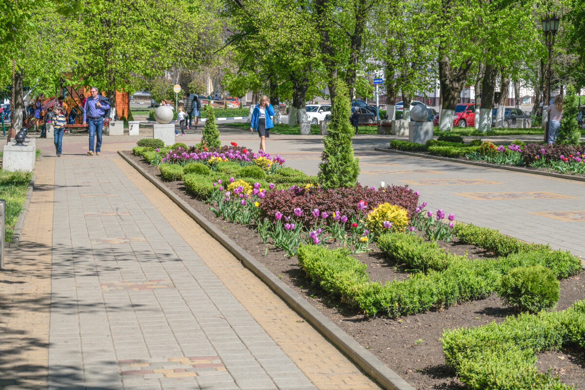 Клумбы в Армавире - Игорь Сикорский Клумбы в Армавире - Игорь Сикорский