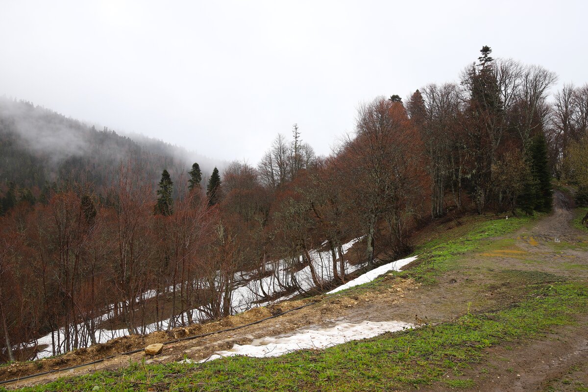 Адыгея, Яворова поляна - Evgeny Mameev Адыгея, Яворова поляна - Evgeny Mameev