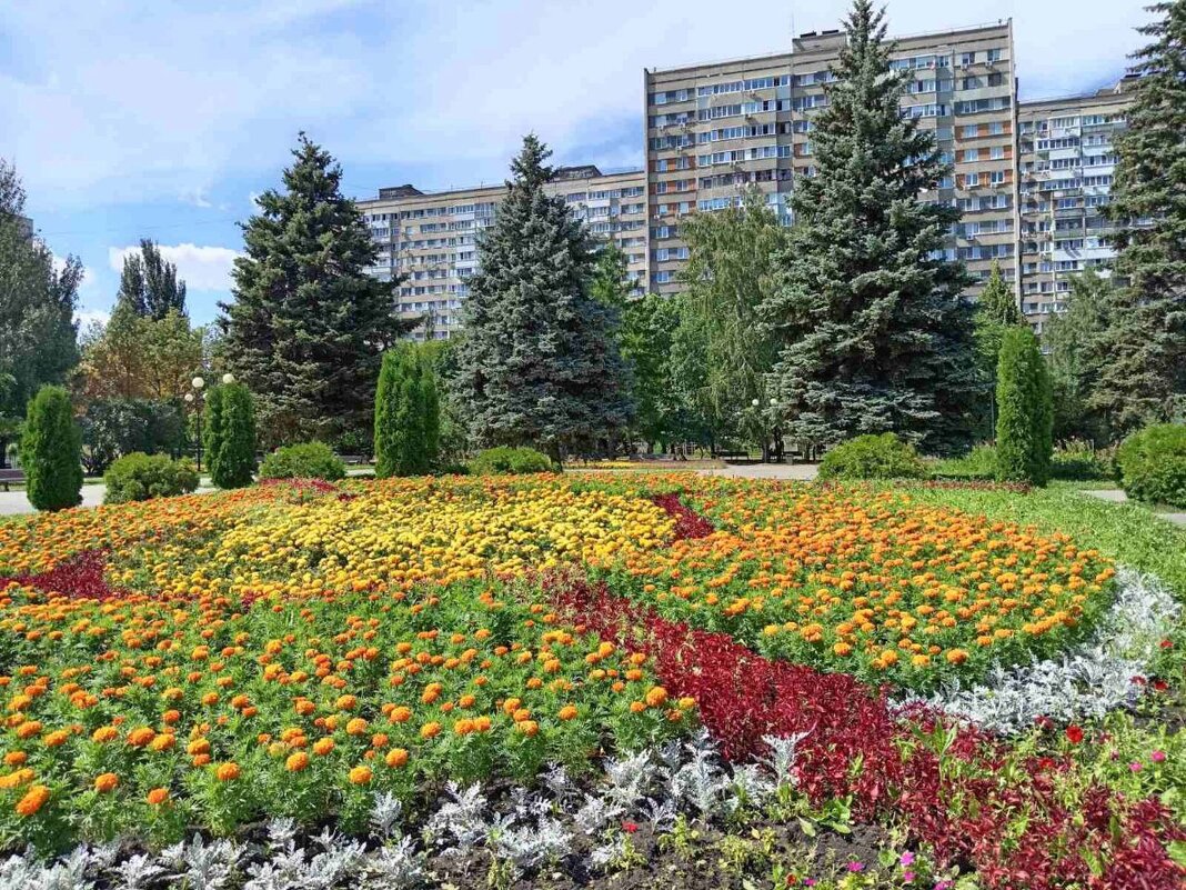 Цветочная Самара - Надежда Цветочная Самара - Надежда