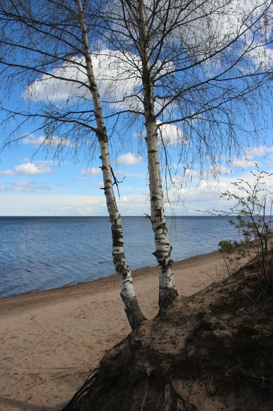 Ладожское Озеро - Наталья Герасимова Ладожское Озеро - Наталья Герасимова
