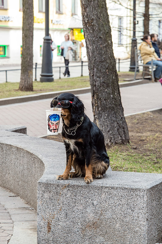 Служба такая - VL 