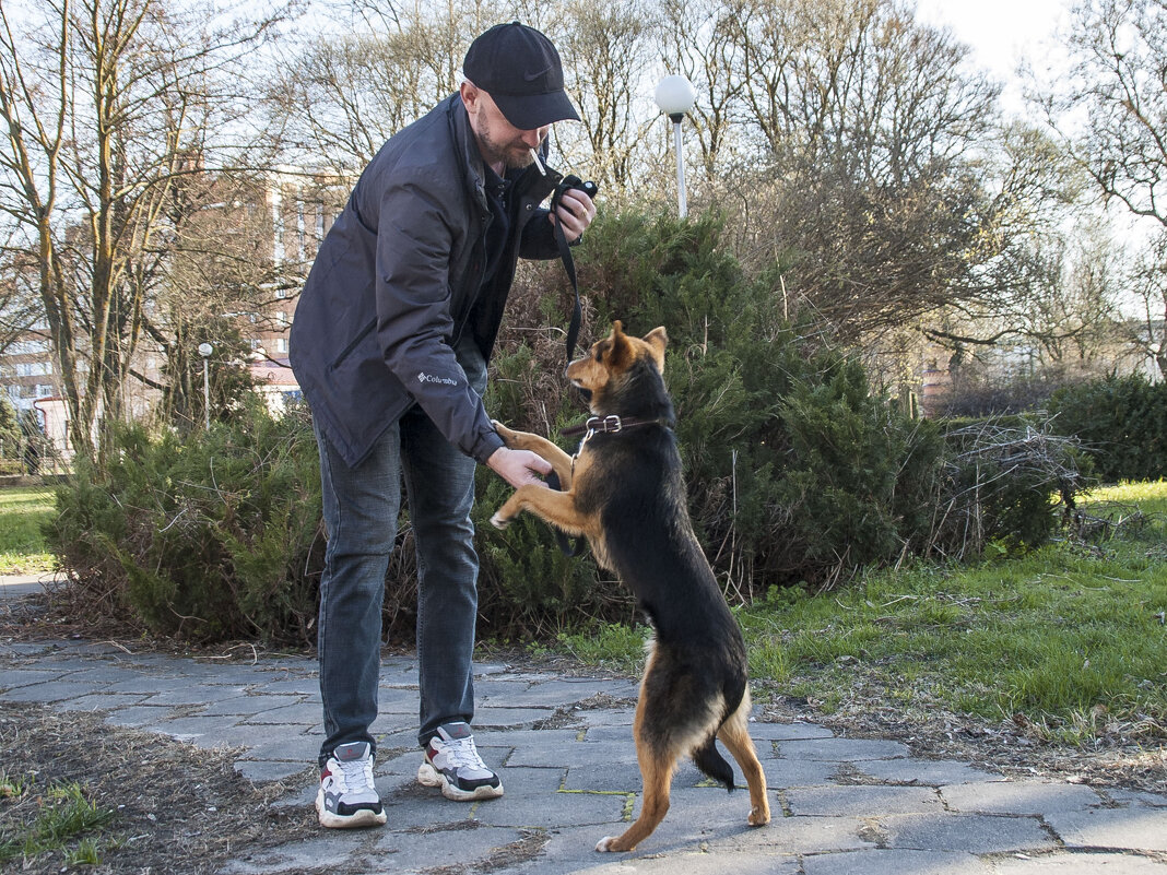 Поздоровались - Елена Пономарева Поздоровались - Елена Пономарева