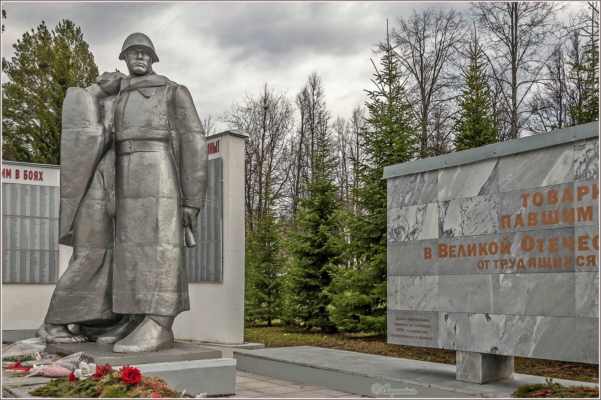 Вечная память павшим в боях за Родину. - Aquarius - Сергей