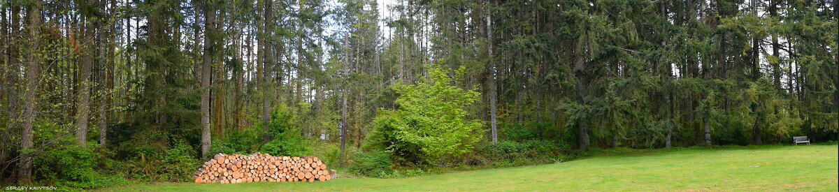 ...на траве дрова... - Sergey Krivtsov ...на траве дрова... - Sergey Krivtsov