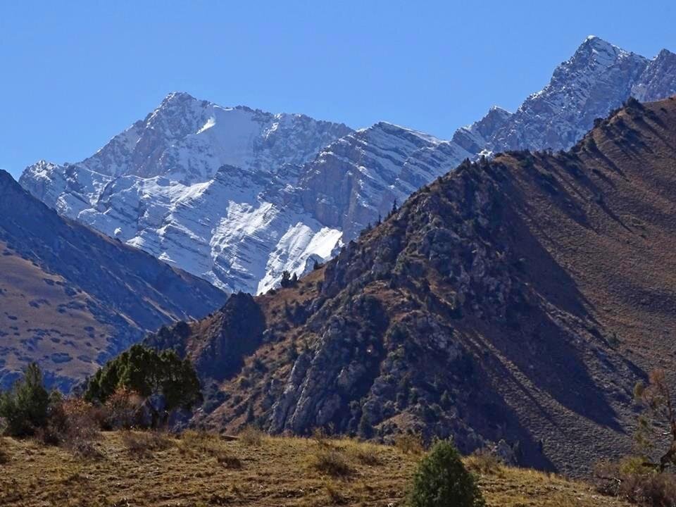 ПО ДОРОГЕ ДОМОЙ. - Виктор Осипчук