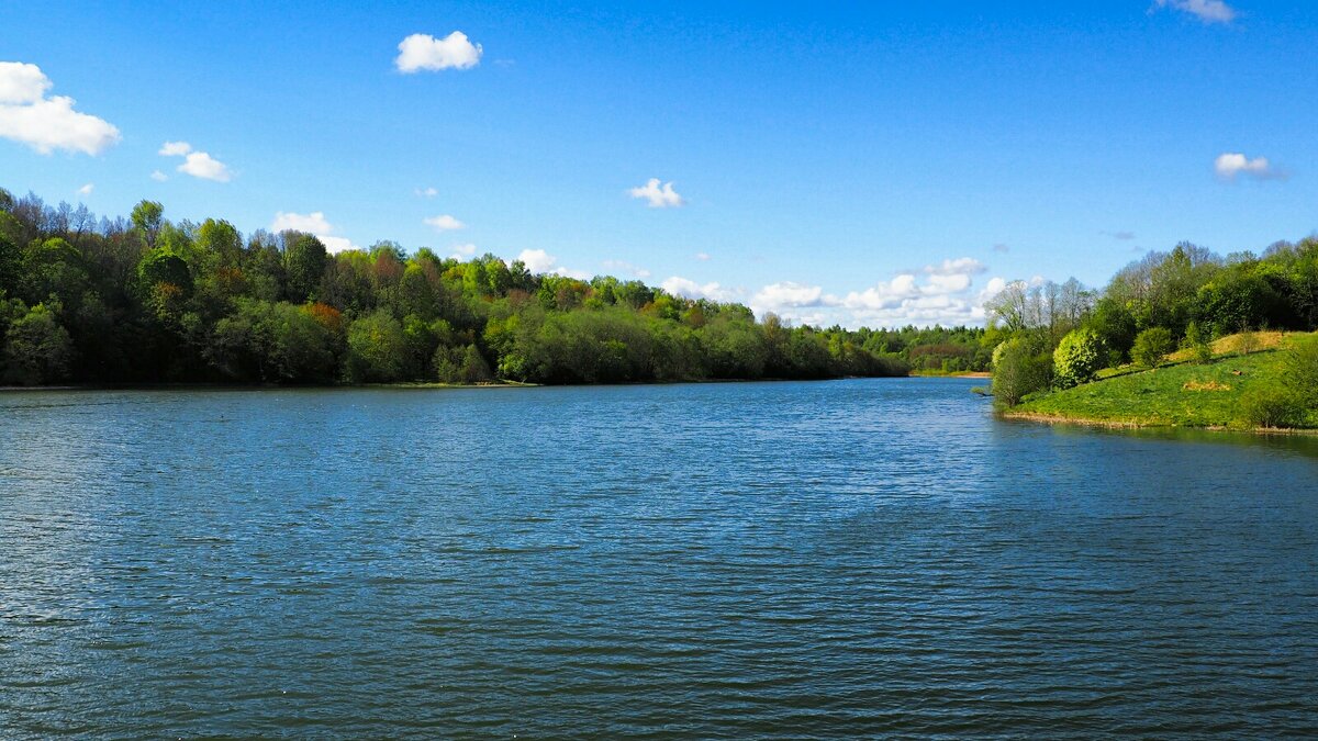 Смоленские озёра - Милешкин Владимир Алексеевич 