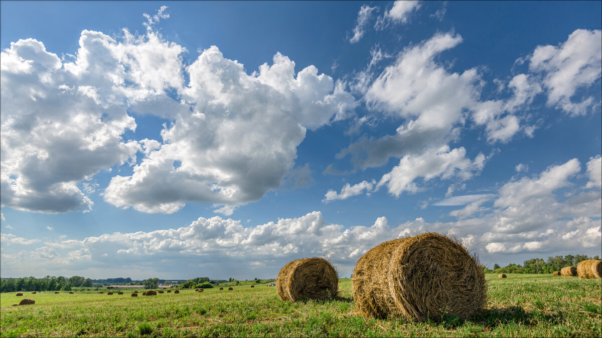 Лето - **** vedin