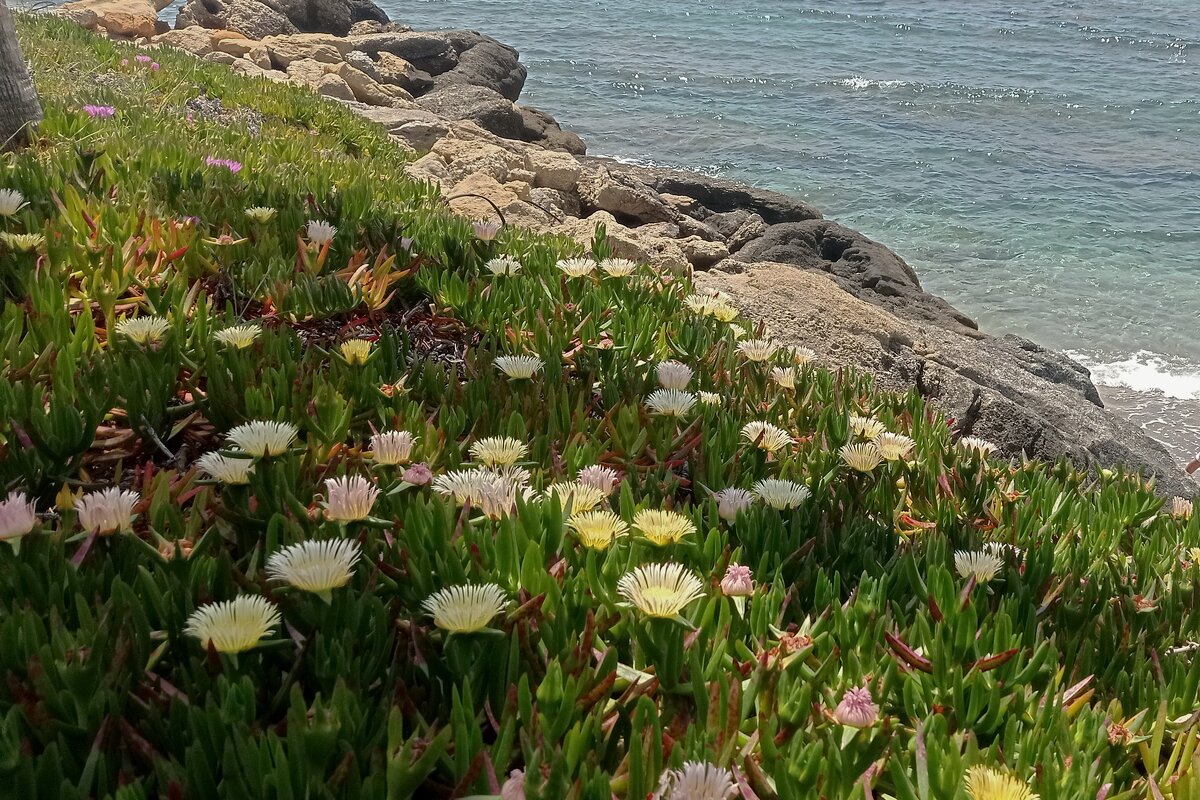 Доброе утро - Юрий. Шмаков