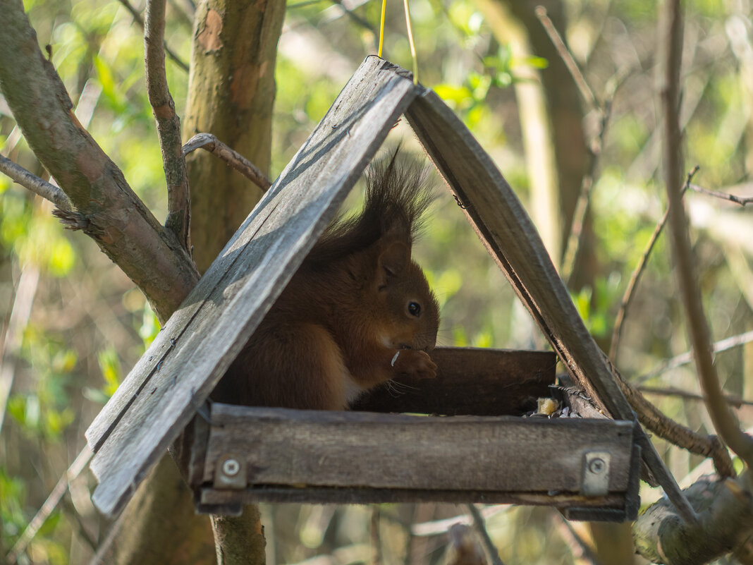 ___ - Yuriy V ___ - Yuriy V