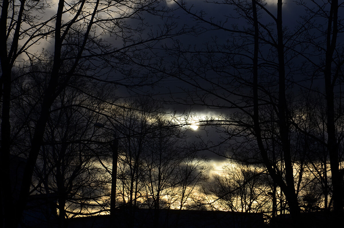 Противостояние....... - Aleksandr Gal