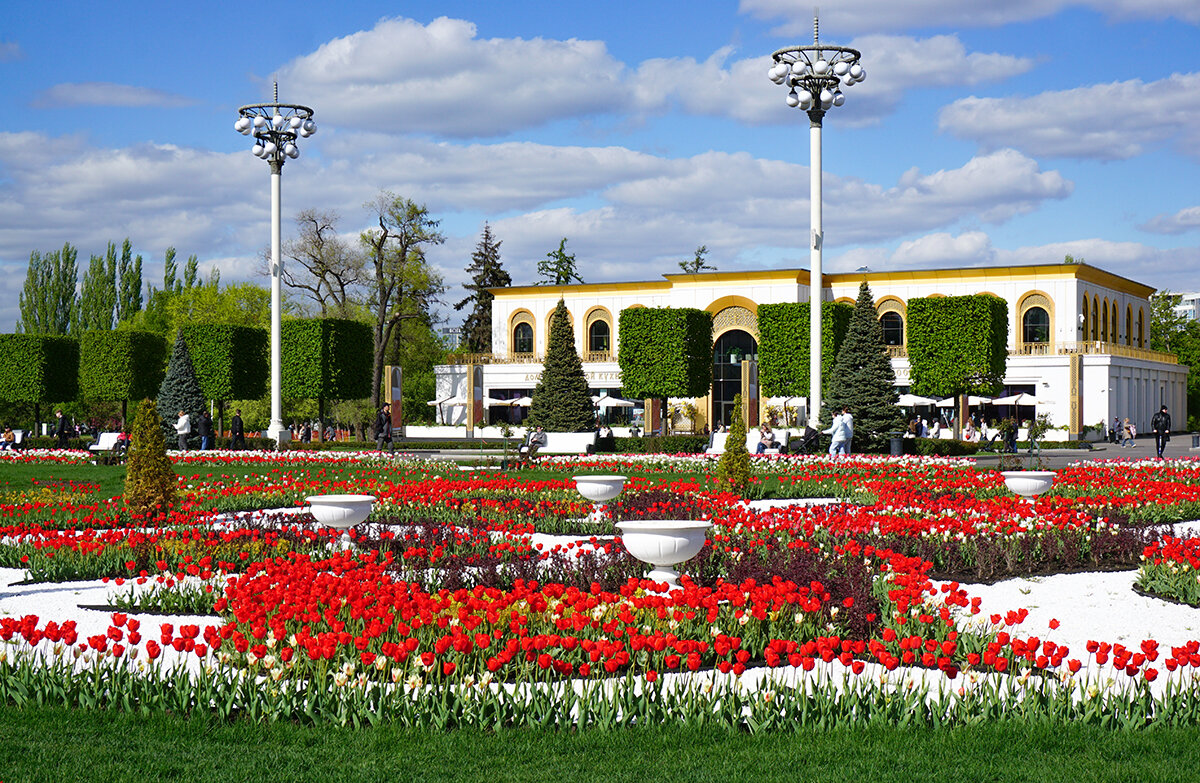 Май на ВДНХ - Ольга Май на ВДНХ - Ольга