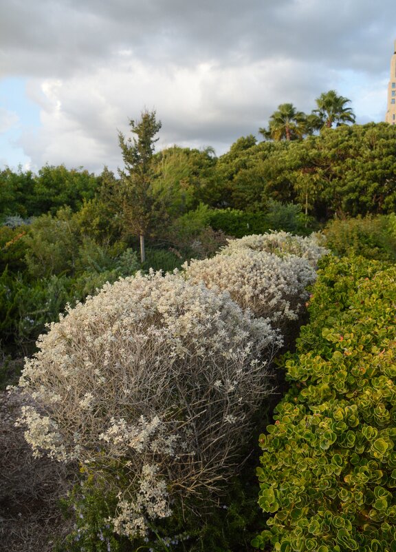 Природа - Oleg4618 Шутченко