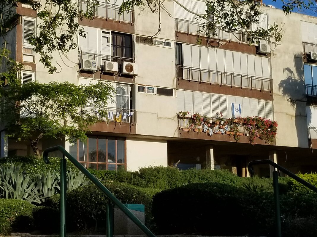 Городские зарисовки. Ашдод. Гуляем по утрам - Светлана Хращевская