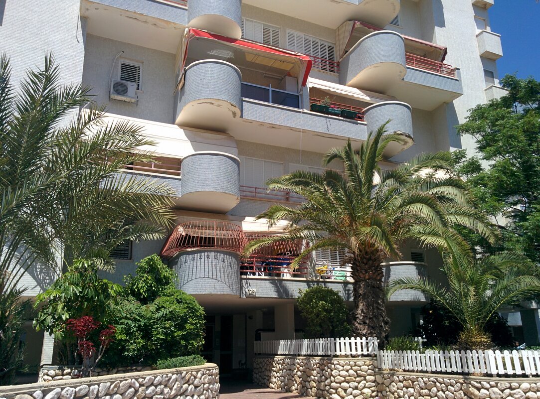 Гуляем по утрам - Светлана Хращевская Гуляем по утрам - Светлана Хращевская