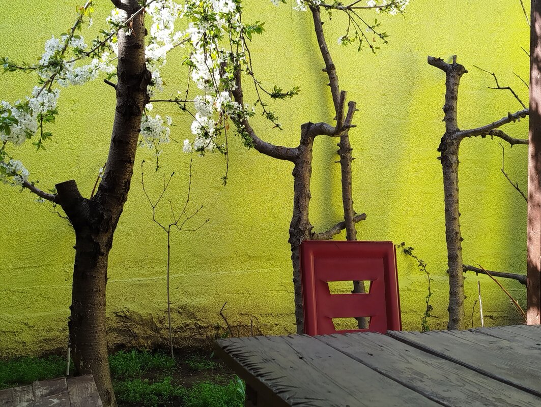 *** - Эника. *** - Эника.