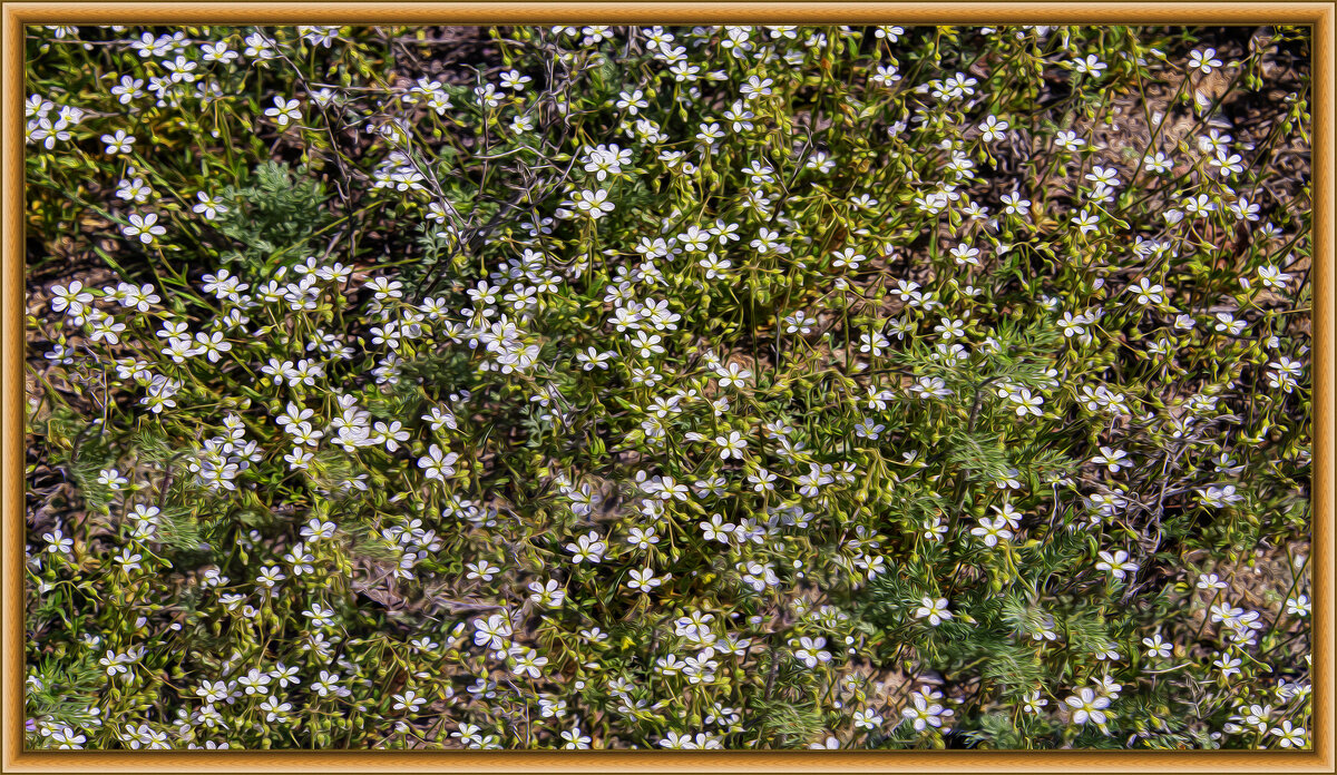 Коврик - Анатолий Чикчирный