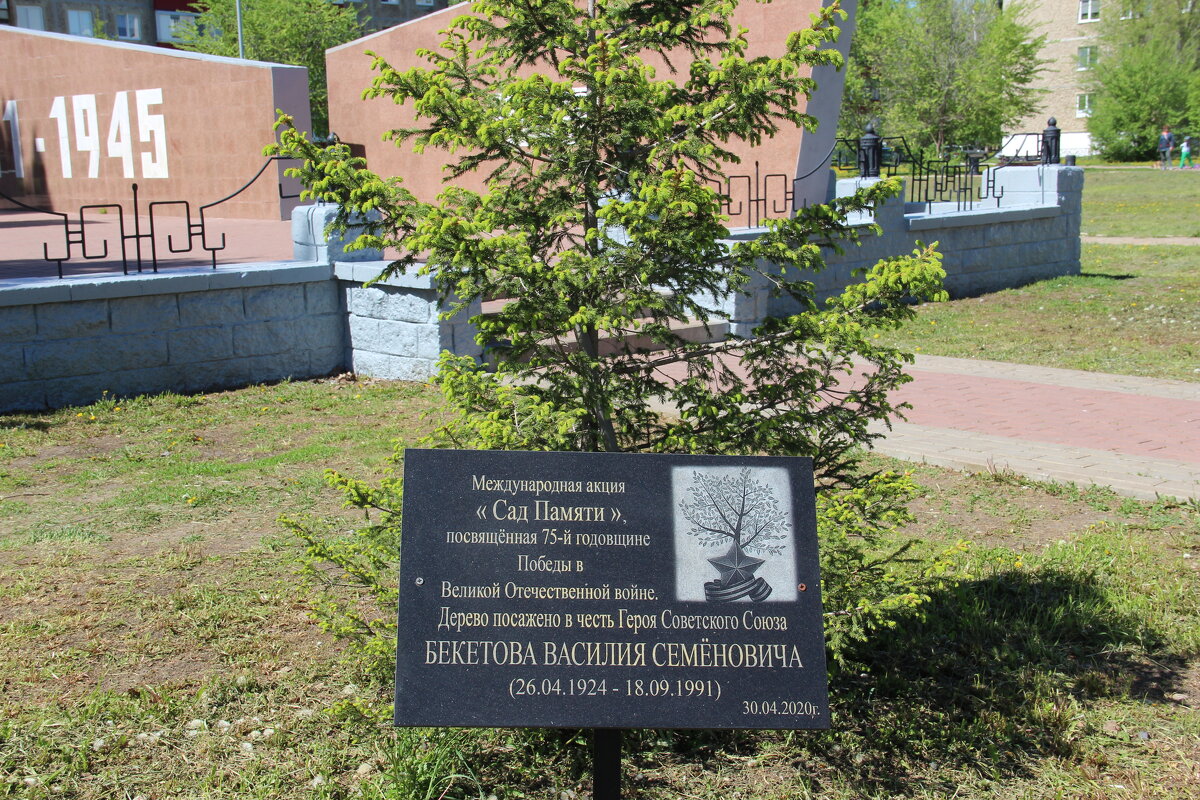 Память. - Венера Чуйкова Память. - Венера Чуйкова